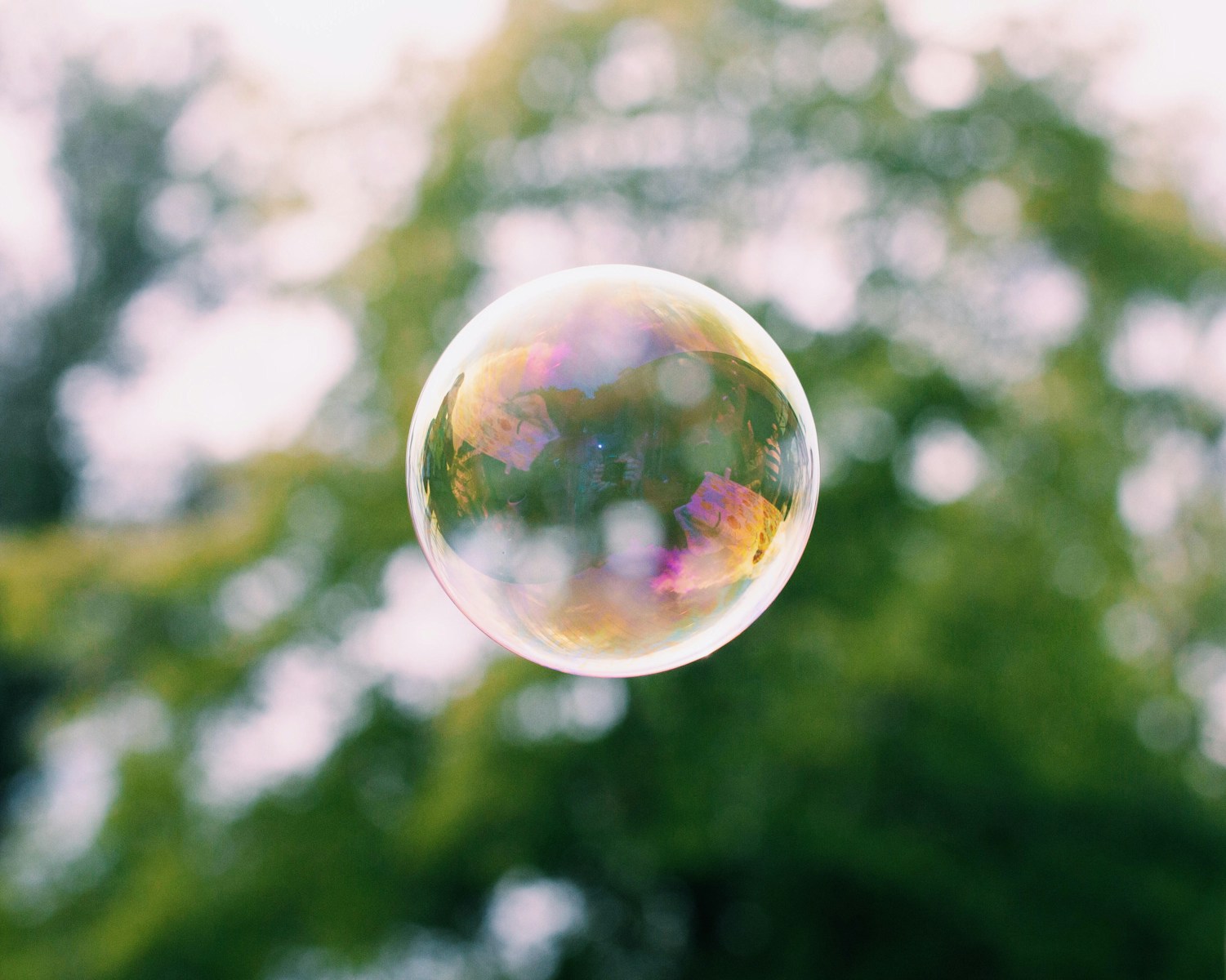 Der revolutionäre Bubble Bum Autokindersitz: Innovation für sicheres Reisen mit Kindern